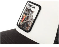 CAPPELLO GOORIN BROS BICOLORE  STRENGTH