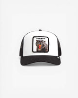 CAPPELLO GOORIN BROS BICOLORE  STRENGTH