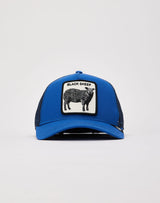 CAPPELLO GOORIN BROS ROYAL BLUE  ART BLACK SHEEP
