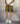 COSTUME BERMUDA CORTO LOGO SMALL - DS2 - ART. SS252B01