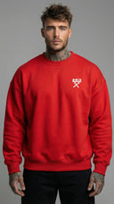 FELPA GIROCOLLO UOMO LOGATA VINTAGE FIT  - BERNA - ART. 261051 - PIU' COLORI