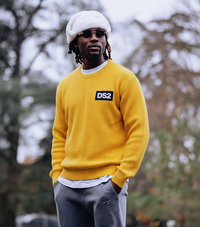 MAGLIONCINO MAGLIA - DS2 - ART. FW25221