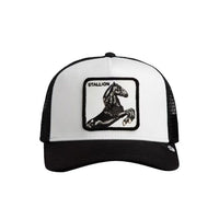 CAPPELLO GOORIN BROS BICOLORE STALLON