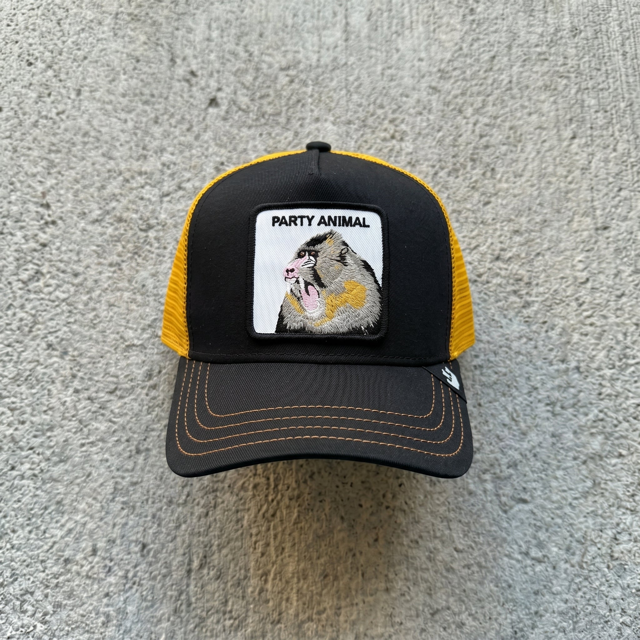 CAPPELLO GOORIN BROS NERO  ART PARTY ANIMAL