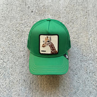 CAPPELLO GOORIN BROS VERDE ART HIGH